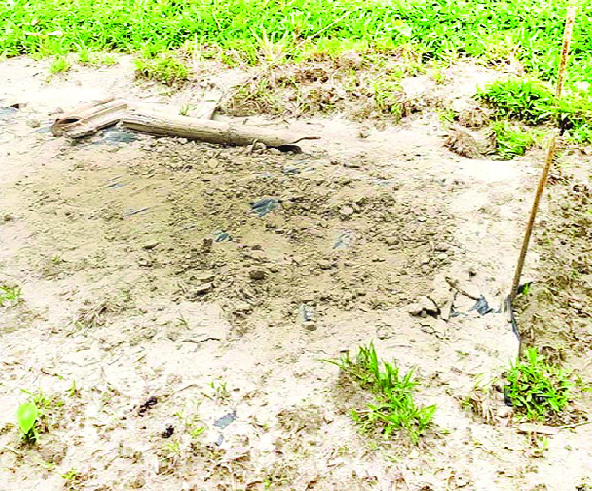 Image of মো: আনারুল ইসলাম